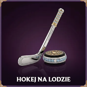 Hokej na lodzie kij i krążek z kryształami